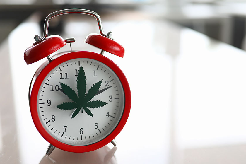 CBD Time