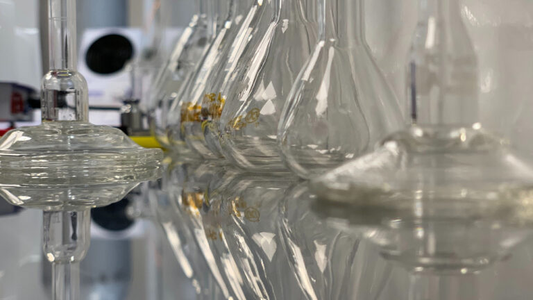 A line of laboratory beakers