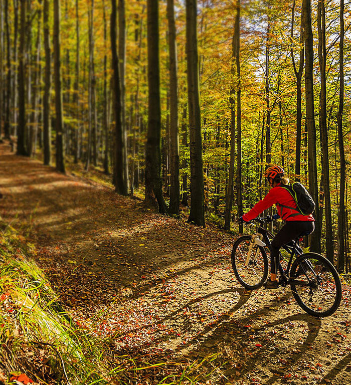 Mountain biker riding a leaf-covered trail through golden autumn woods