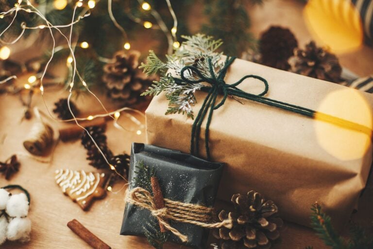 holiday gift guide | gifts for her | gifts for him | gifts for pets | best holiday gifts 2022 | best Christmas gifts 2022 | gifts to get them this year