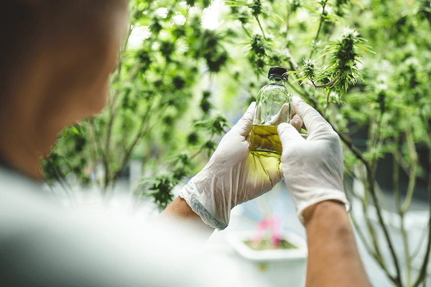 Does CBD Show Up on a Drug Test? What You Need to Know | Extract Labs 4 does cbd show up on a drug test? | a blog about CBD showing up on a drug test and how to choose the right cbd products to not show up on one | will cbd show up on a drug test?M | cbd drug test | can you fail a drug test due to cbd? | does cbd gummy bears show up on a drug test? | will cbd oil show up on a drug test | cbd and drug test | does cbd show up on a drug test
