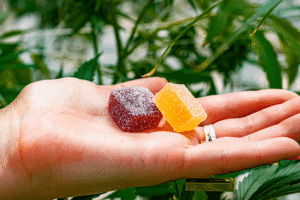 Hemp Products 5 cbd products | best cbd products | cbd product buying guide | what cbd product should I buy | cbd gummies | cbd edibles | d8 edibles | d8 gummies | d9 gummies | d9 edibles | cbg gummies cbn gummies | how many cbd gummies should I take | how many cbd edibles should I take | how many edibles should I take