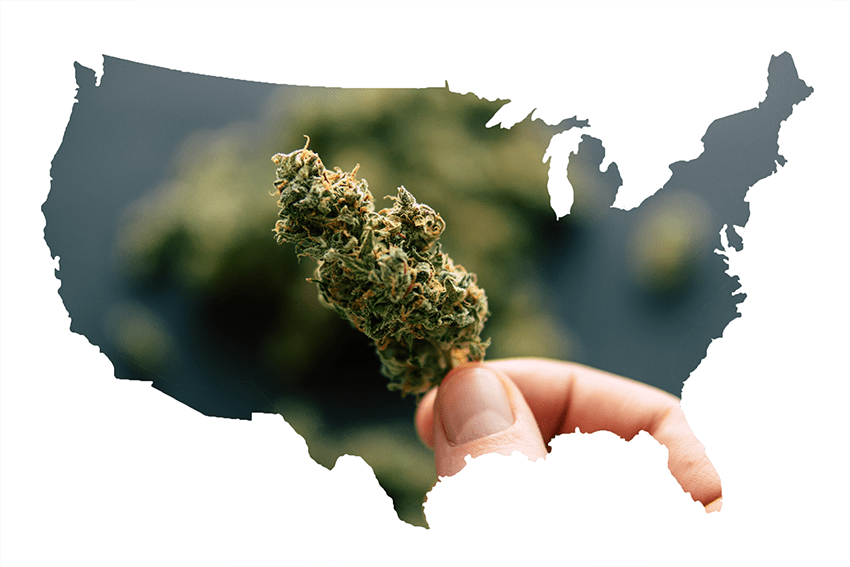 Is Cannabis Legal? | Why some states are still blocking it - blog. Photo of a USA map but instead of states its cannabis