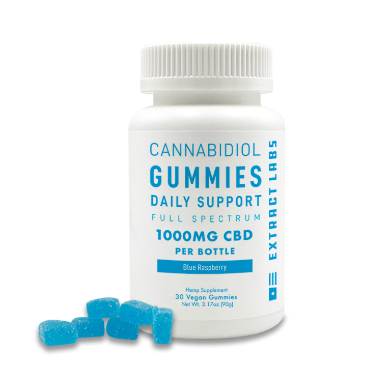 Daily Support CBD Gummies BlueRaspberry 1000mg image