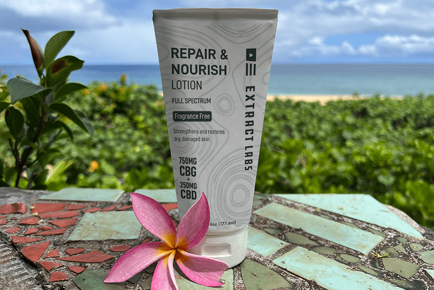 image of repair and nourish lotion for blog about Unveiling Radiance and Restoration With Our New Repair and Nourish Lotion | CBD vs CBG | CBD skincare | CBG skincare | Daily Lotion | CBD Lotion