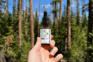 image of Daily Support CBD Tincture Oil 2000mg for blog about CBD Oils 101: A Complete User Guide for Balanced Wellness | Organic CBD Oil | Full spectrum CBD Oil | Broad Spectrum cbd oil | Isolate cbd oil | cbd oil for pain | CBD oil for depression | cbd oil for anxiety
