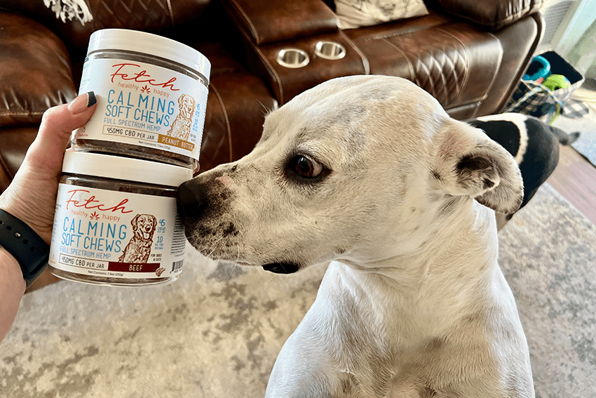 Bark-Worthy News: 2 New Purrfect CBD Treats for Dogs and Cats | CBD for cats | CBD for Dogs | CBD for pets | CBD treats for pets