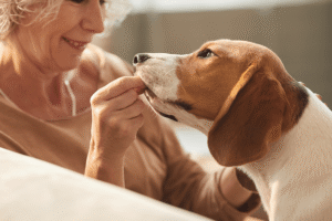 image of a woman giving her dog a treat for the blog about Is CBD Safe for Dogs? NASC Study Findings on CBD for Dogs