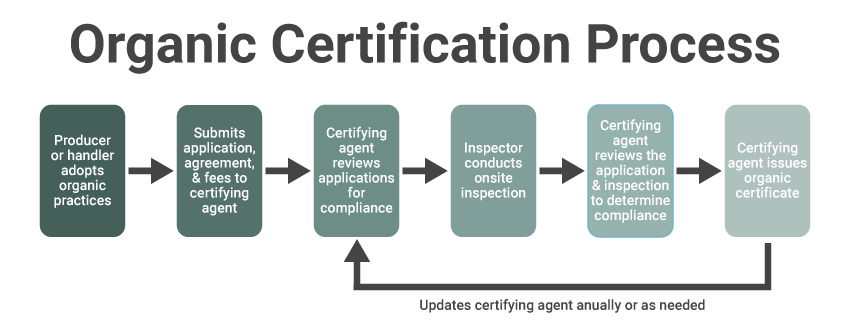 an image of the organic certification process in the blog "The Importance of Certified Organic Products"
