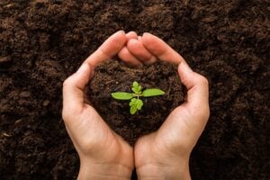 image for the blog "The Importance of Certified Organic Products"