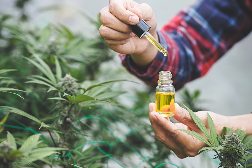 an image for the blog "3 Misconceptions About CBD: Key Points to Know"