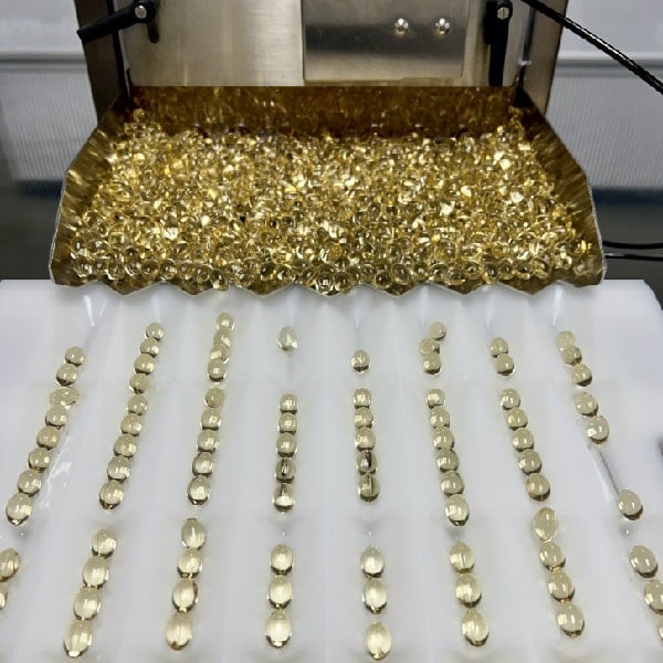 cbd isolate capsules manufacturing