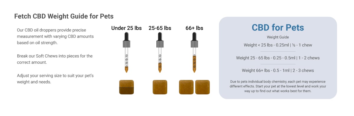fetch dosage guide for CBD softchews and CBD oil for your pet