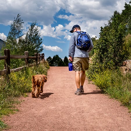 Dog owner walking pet in nature for stress relief