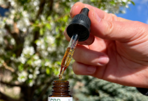 image of CBD tincture oil dropper over the bottle for How to Use CBD Oil
