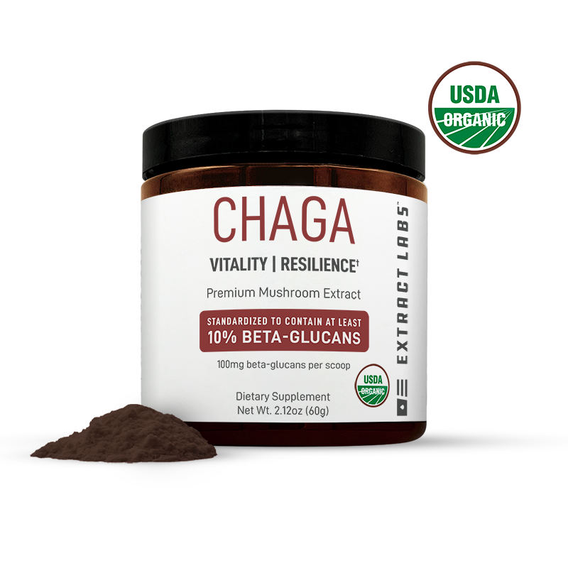 Organic Chaga Mushroom Extract Powder